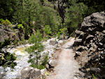 Samaria Kloof | Kreta | Griekenland foto 37