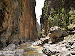Samaria Kloof | Kreta | Griekenland foto 40
