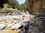 Samaria Kloof | Kreta | Griekenland foto 41
