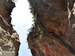 Samaria Kloof | Kreta | Griekenland foto 43