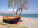 Maleme strand | Chania Kreta | Griekenland | Foto 1