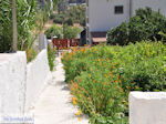 Vori - Zuid Kreta - Foto 10