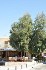 Timbaki | Zuid Kreta | De Griekse Gids foto 7