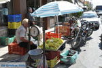 Timbaki | Zuid Kreta | De Griekse Gids foto 9