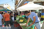 Timbaki | Zuid Kreta | De Griekse Gids foto 10