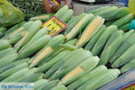 Timbaki | Zuid Kreta | De Griekse Gids foto 11