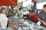 Timbaki | Zuid Kreta | De Griekse Gids foto 13