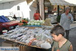 Timbaki | Zuid Kreta | De Griekse Gids foto 14