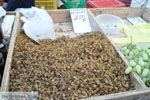 Timbaki | Zuid Kreta | De Griekse Gids foto 25