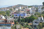 Pitsidia | Zuid Kreta | De Griekse Gids foto 12
