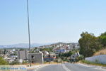 Pitsidia | Zuid Kreta | De Griekse Gids foto 13